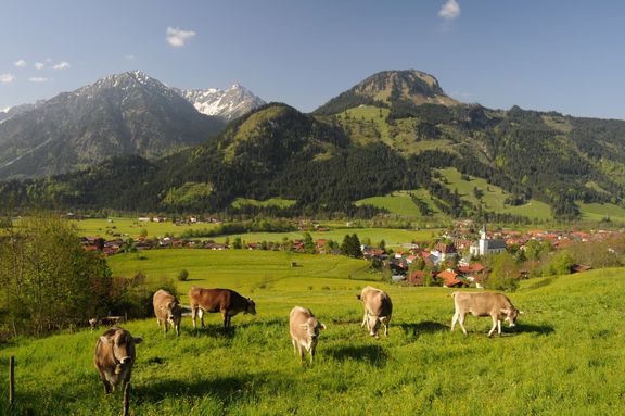 Ferienwohung Schmied Allgäu in Bad Hindelang